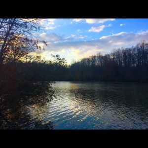 Meet your posher, Alexis!